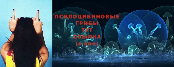 спайс Богородицк