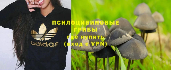 apvp Богородск