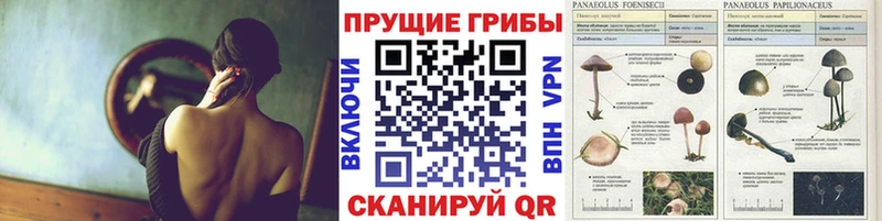 Галлюциногенные грибы Magic Shrooms хочу наркоту сайты даркнета официальный сайт Эртиль